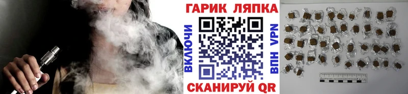 ГАШ Premium  Карачев 