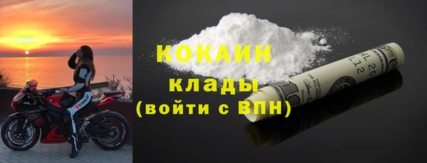 гидра Бородино