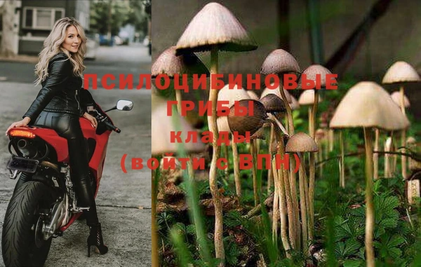 скорость Верея