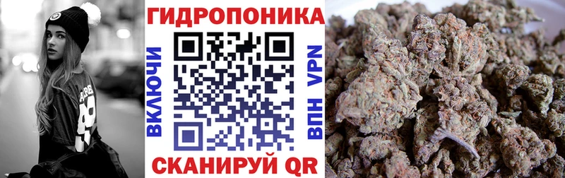 Бошки Шишки семена  Карачев 